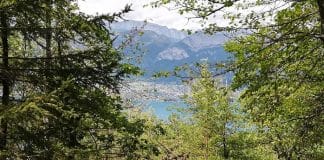 Le lac d'Annecy depuis Les Puisots