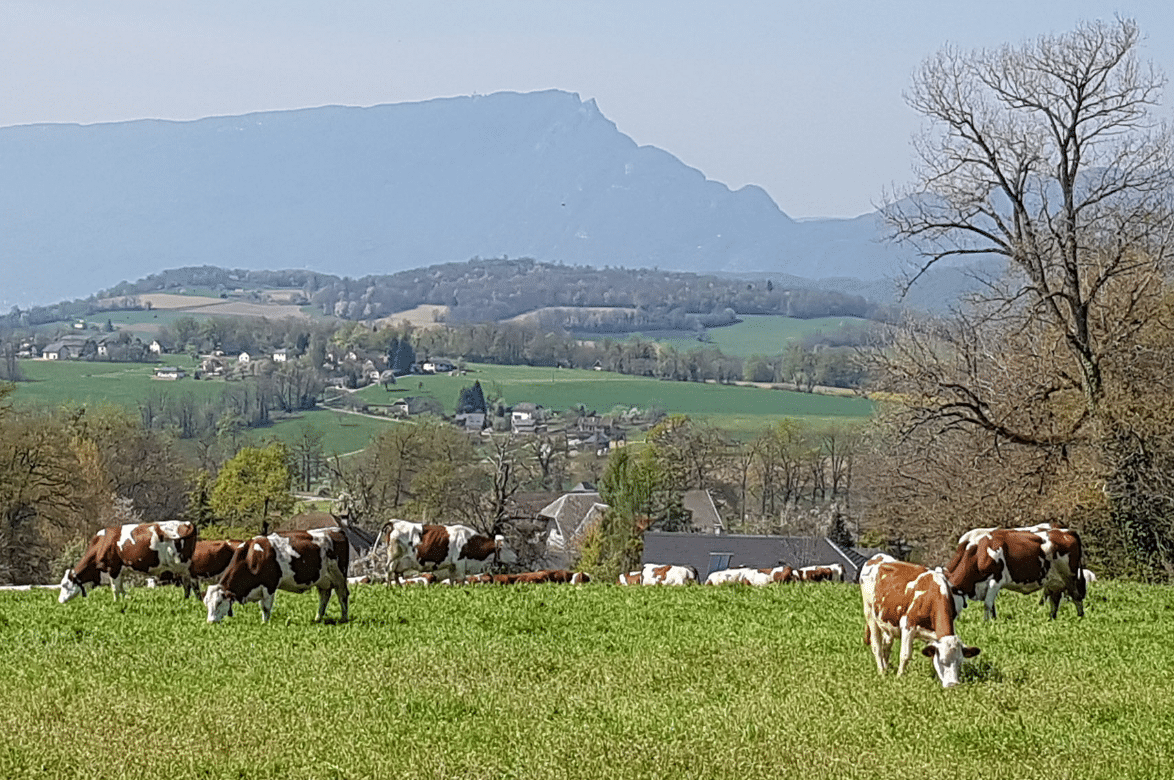 Fermes à Annecy