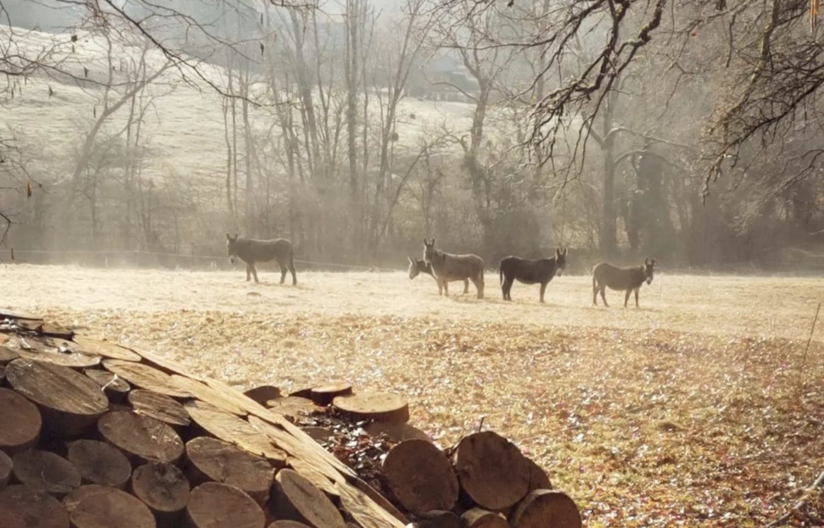 Fermes pédagogiques Haute-Savoie