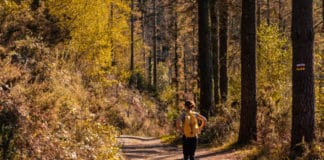 Promenade dans les bois autour d'Annecy