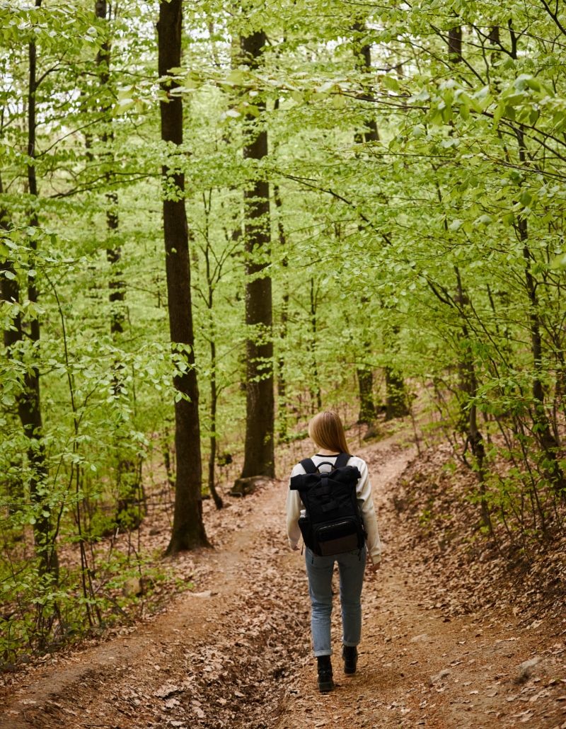 Forêt autour d'Annecy