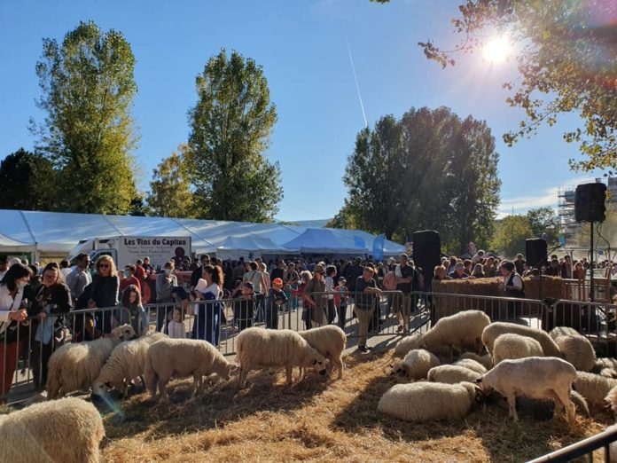 Fêtes d'automne Annecy