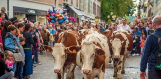 Que faire en octobre en Haute-Savoie et à Annecy ?