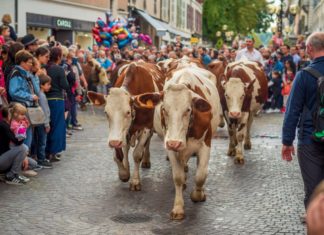 Que faire en octobre en Haute-Savoie et à Annecy ?