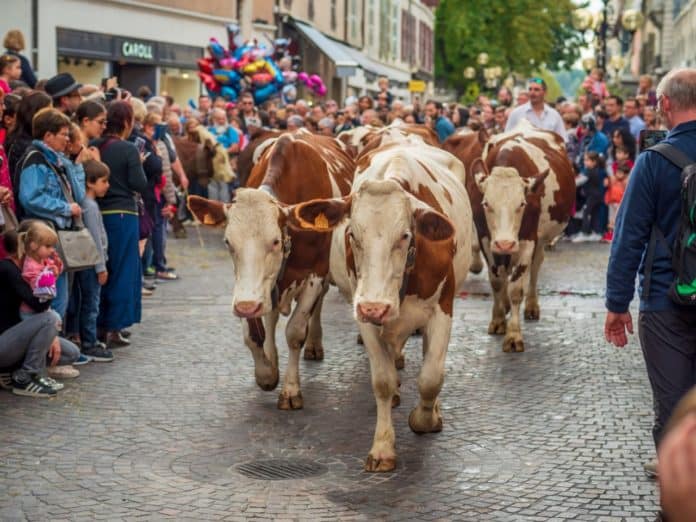 Que faire en octobre en Haute-Savoie et à Annecy ?