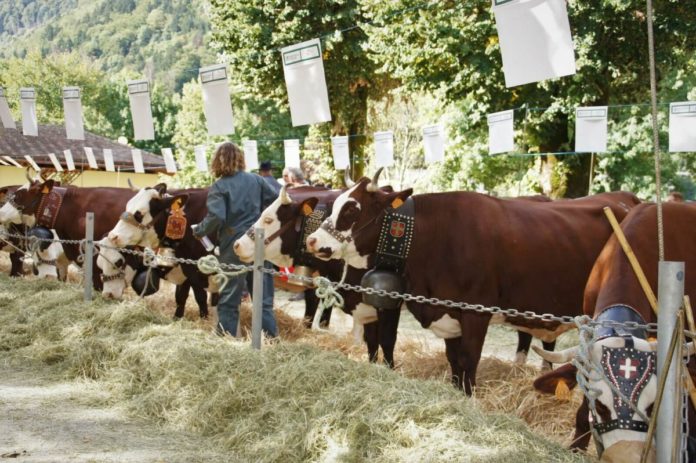 Foire d'automne en Haute-Savoie