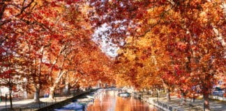 Automne Annecy que faire