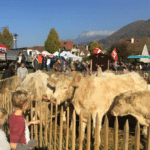 Que faire à Annecy ce week-end ?