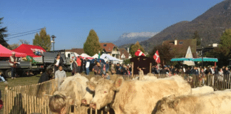 Que faire à Annecy ce week-end ?