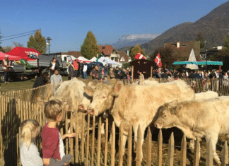 Que faire à Annecy ce week-end ?