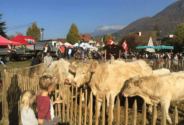 Que faire à Annecy ce week-end ?