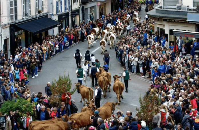 Que faire ce week-end Annecy ?