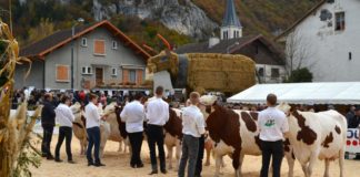 foire de la bathie 2024 la balme de sillingy date programme infos