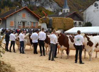 foire de la bathie 2024 la balme de sillingy date programme infos