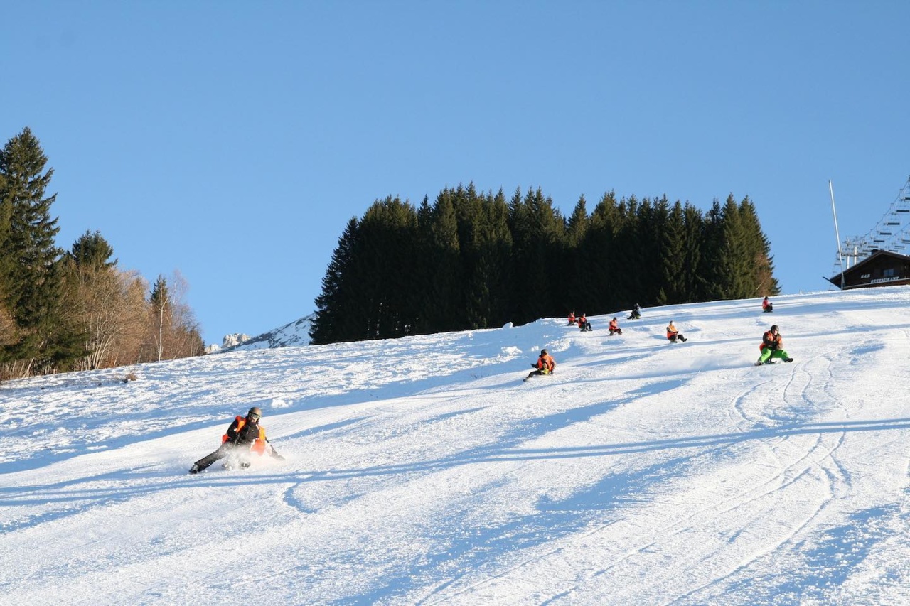 Descente en luge Haute-Savoie