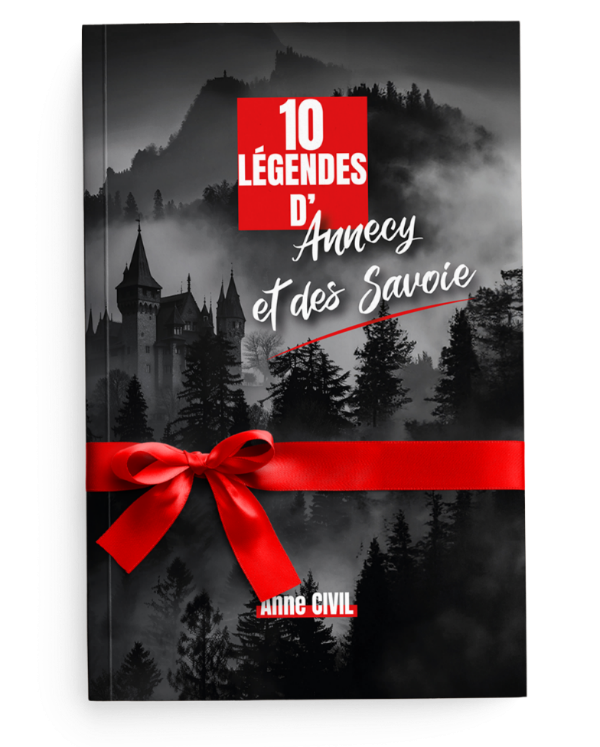 Cadeau de Noël Annecy 