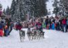 La Grande Odyssée VVF 2025 Haute-Savoie programme pacours